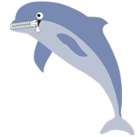 Miss Dolphin